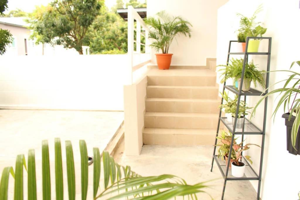 New Seaview Cozy Modern Beach House تانجونغ بونغاه المظهر الخارجي الصورة